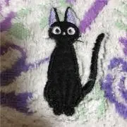 momoの画像