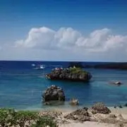 totoの画像