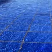 りんの画像