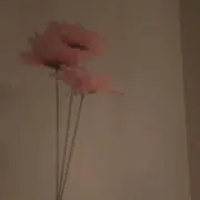 え るの画像