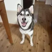 Lukaの画像
