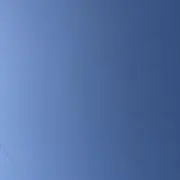 ワギュウ