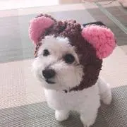 nao