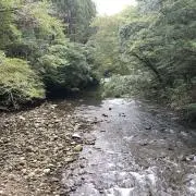 クロスケの画像