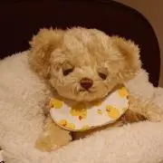 しゅりの画像