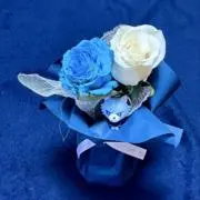 登坂広臣 ØMI INFINITY MOON 御楽印 三日間セット - メルカリ