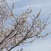 あっこ☆(プロフ必読)の画像