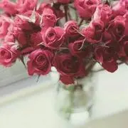 おおきに☺の画像