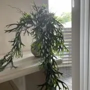 航帆