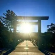 maru¨̮⃝即購入OK⭕️の画像