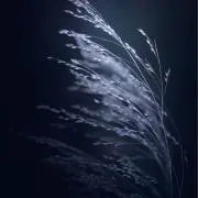 エスカルゴの画像