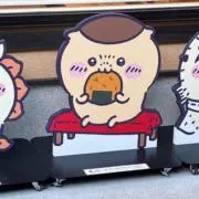 こぐまの画像