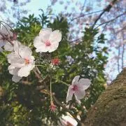 とも