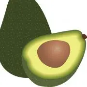 AVOCADOの画像
