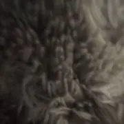 なの画像