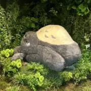 れなままの画像