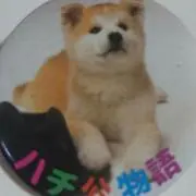 meちゃん