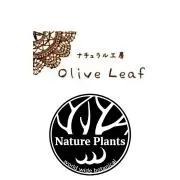 OliveLeafの画像