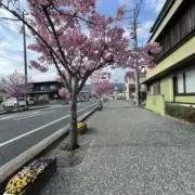 渡辺