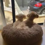 りあたん