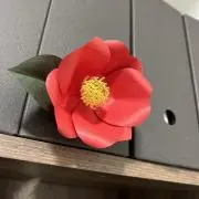 た*ま様 【ケース付き】オーボエ 本体（付属品あり・現状渡し） - メルカリ