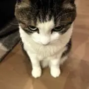 kanaの画像