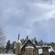 みやのの画像