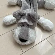 ぽんぽんの画像