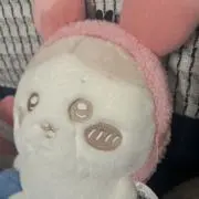 かに☆の画像