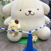 トロの画像