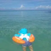 ぴーさん