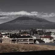 まあふの画像