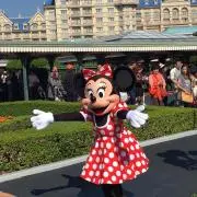 ハチミツうめの画像