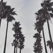 GUS☆