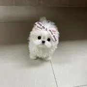 るあ