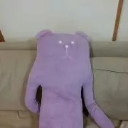 aaoiの画像