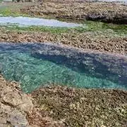 yochiyoの画像
