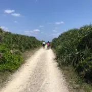 れんふら