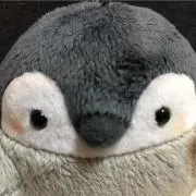 ゆきの画像