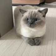 guriの画像