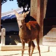 ゆーこ