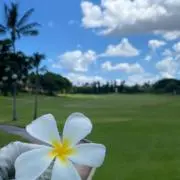 リオン【迅速丁寧にご対応致します】の画像
