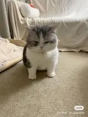 RIRIの画像