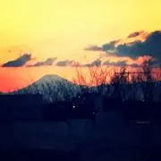ニーナ