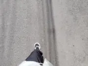 ごんの画像