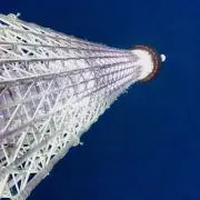 Seelycozの画像