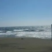 GAU介