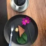 cocosの画像