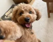 nonの画像