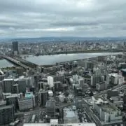 ゆう